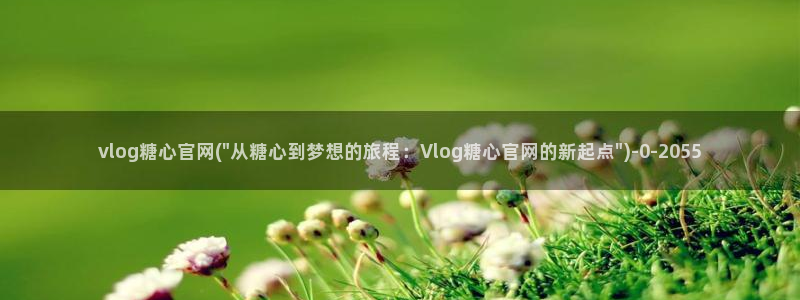 免费糖心vlog