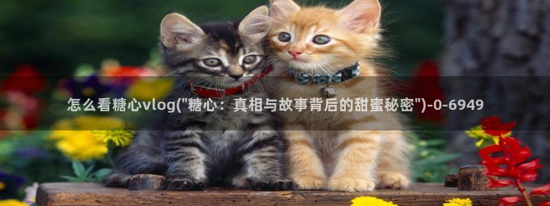 糖心vlog千夜喵喵
