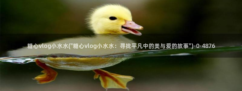 糖心vlog记录