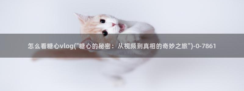 糖果心vlog怎么下载