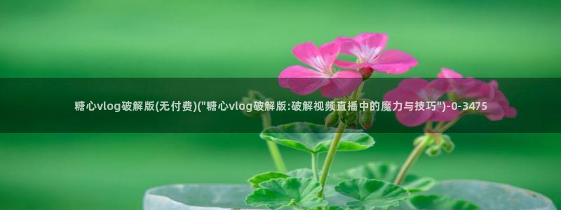 糖心vlog怎么免费看
