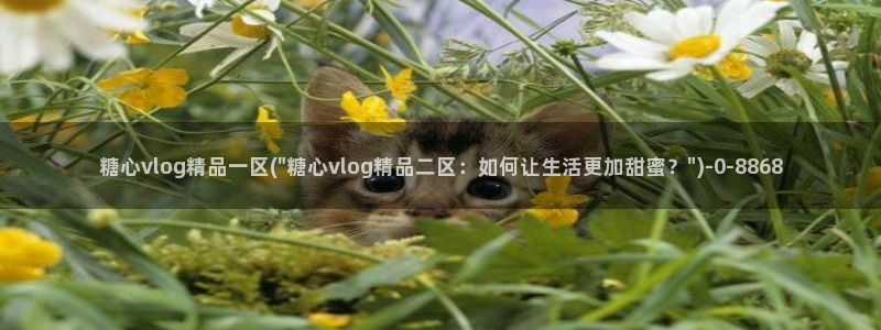 糖心vlog福利