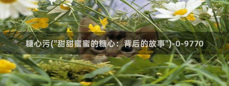 国产糖心vlog传媒