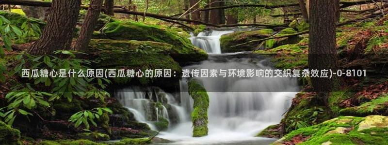 糖心vlog现在时间