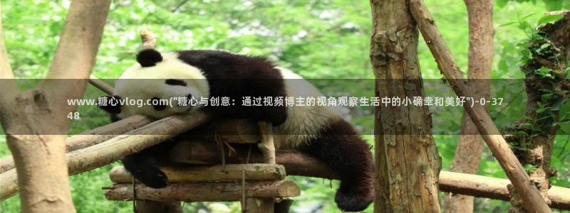 糖果心vlog免费版怎么下载