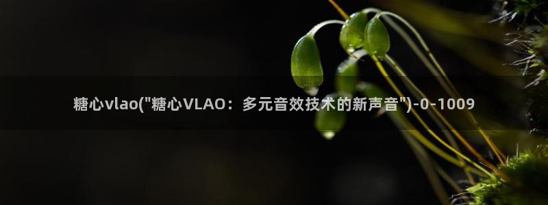糖心vlog一区