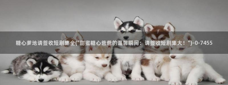 糖心vlog在哪看