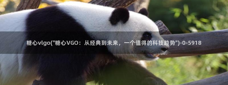 糖心vlog一区