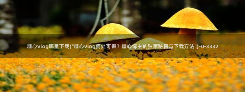 糖心vlog官网下载地址