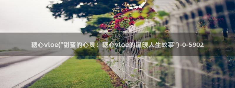 糖心vlog2026