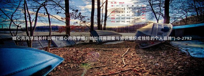 心糖vlog免费在线观看