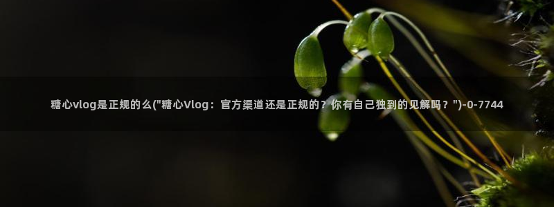 鸡教练vlog糖心