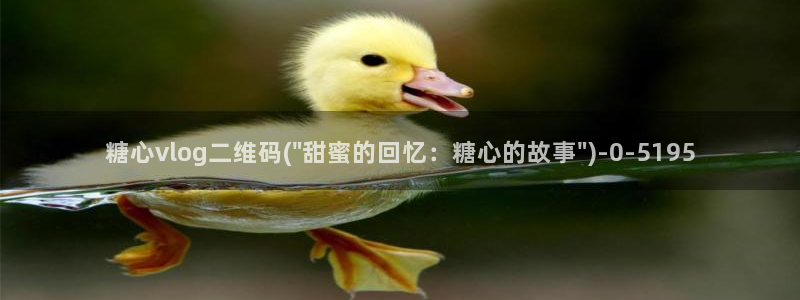 糖心vlog饼干