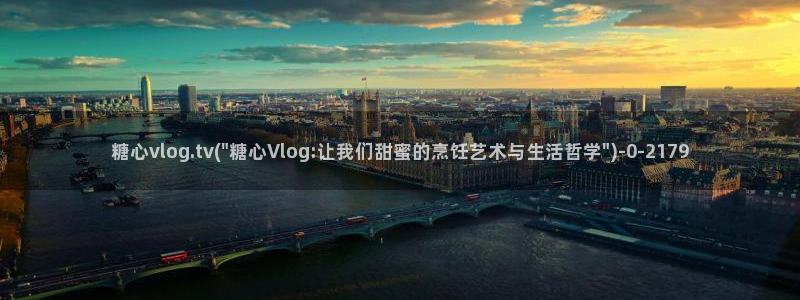 糖心vlog直接看