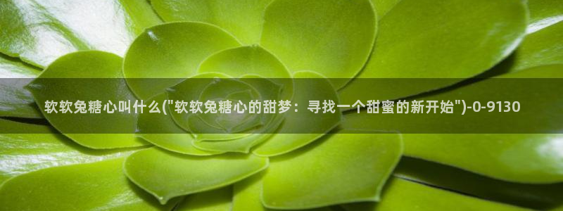 糖心vlog免费版在哪下