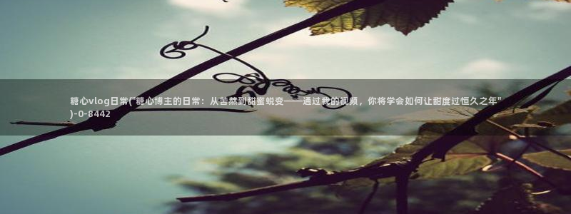 糖心vlog美女