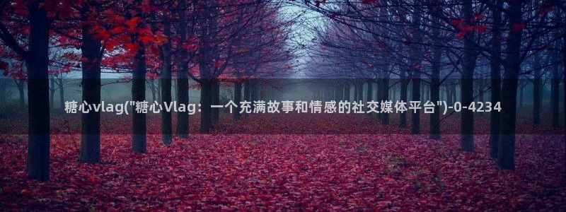 糖心vlog视频免费观看